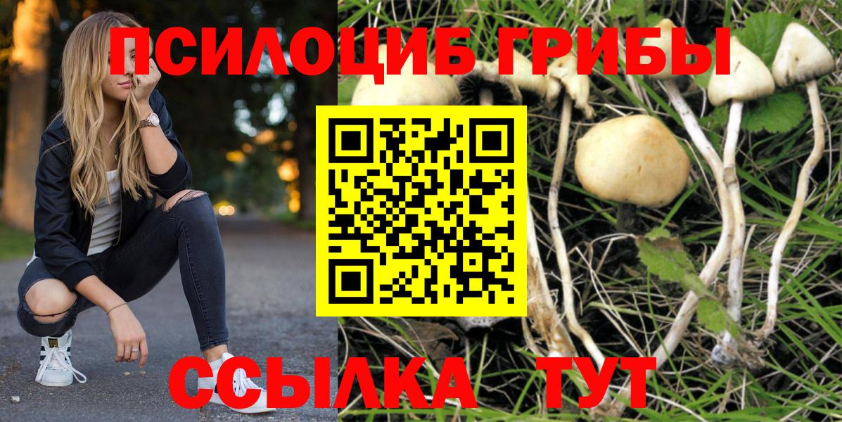Среднеуральск  Галлюциногенные грибы Cubensis  Галлюциногенные грибы прущие грибы  Вход с VPN 